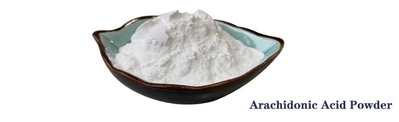 Arachidonic Acid.jpg